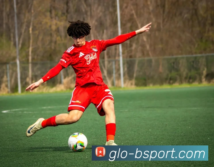 B体育官网平台生态图